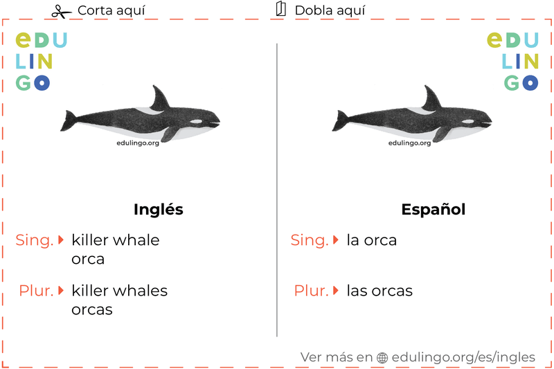 Ficha de Vocabulario Orca en inglés para imprimir, practicar y aprender