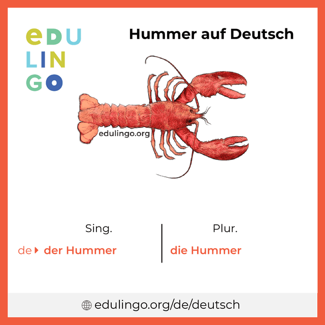 Hummer auf Deutsch Vokabelbild mit Singular und Plural zum Herunterladen und Ausdrucken
