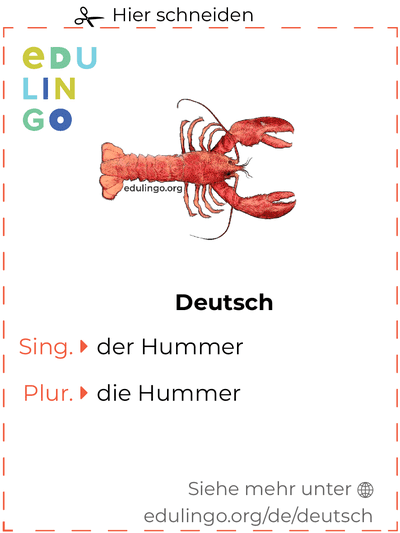 Hummer auf Deutsch Vokabelkartei zum Ausdrucken, Üben und Lernen