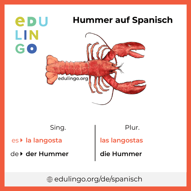 Hummer auf Spanisch Vokabelbild mit Singular und Plural zum Herunterladen und Ausdrucken