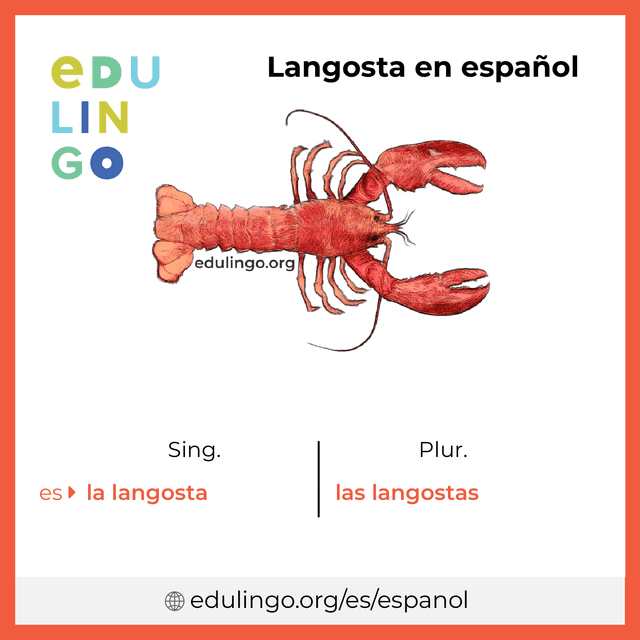 Imagen de vocabulario Langosta en español con singular y plural para descargar e imprimir