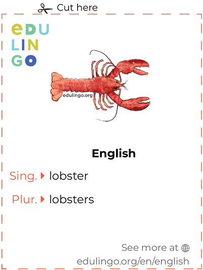 Lobster in English vocabulary flashcard for printing, practicing and learning