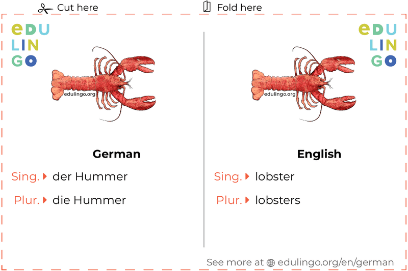 Lobster in German vocabulary flashcard for printing, practicing and learning