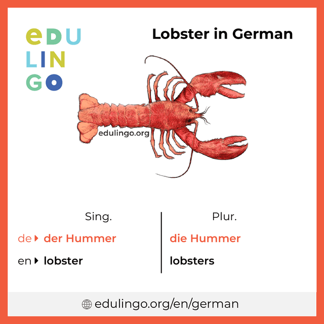 Lobster in German vocabulary picture with singular and plural for download and printing