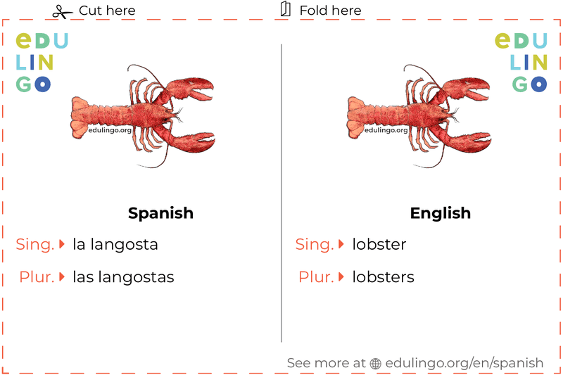 Lobster in Spanish vocabulary flashcard for printing, practicing and learning