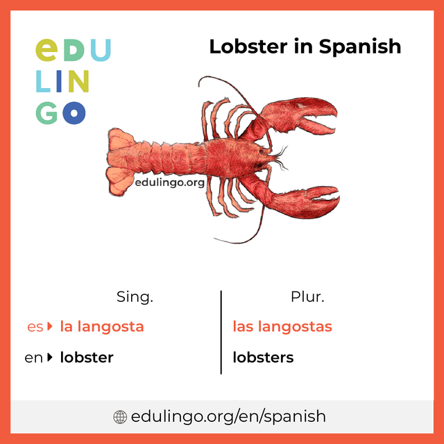 Lobster in Spanish vocabulary picture with singular and plural for download and printing