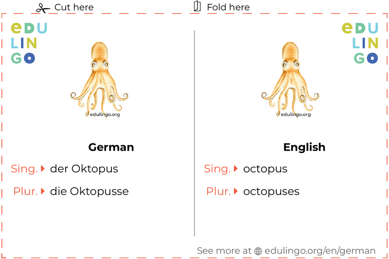 Octopus in German vocabulary flashcard for printing, practicing and learning