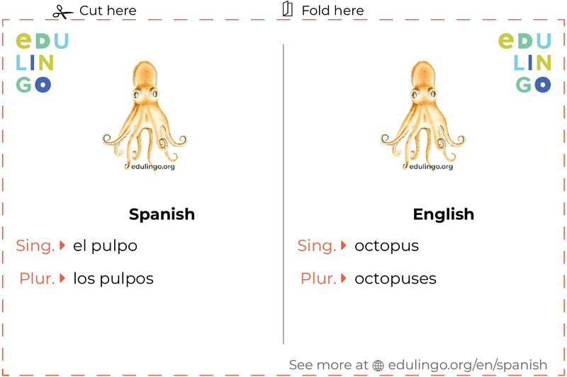 Octopus in Spanish vocabulary flashcard for printing, practicing and learning