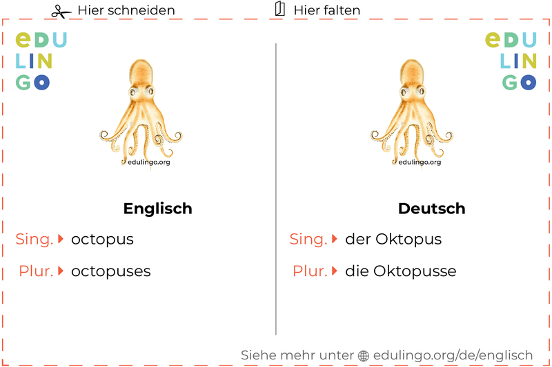 Oktopus auf Englisch Vokabelkartei zum Ausdrucken, Üben und Lernen