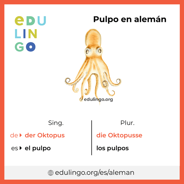 Imagen de vocabulario Pulpo en alemán con singular y plural para descargar e imprimir