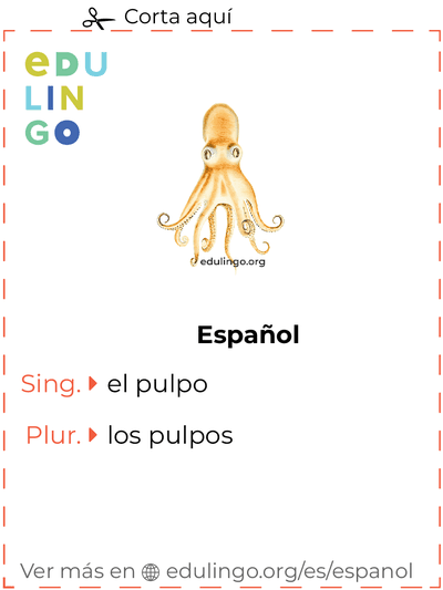 Ficha de Vocabulario Pulpo en español para imprimir, practicar y aprender