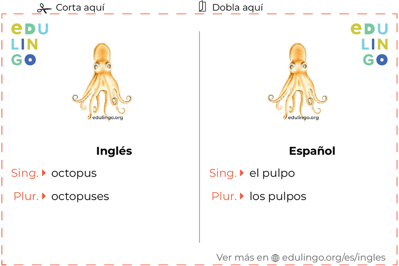 Ficha de Vocabulario Pulpo en inglés para imprimir, practicar y aprender