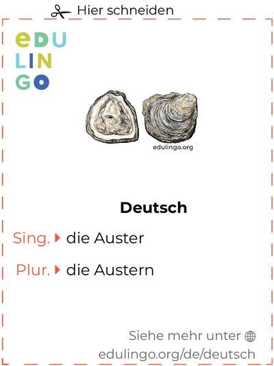 Auster auf Deutsch Vokabelkartei zum Ausdrucken, Üben und Lernen