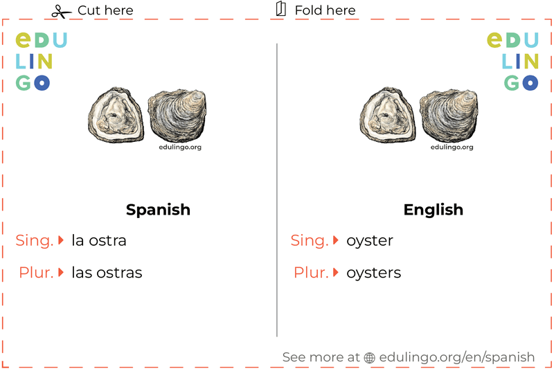 Oyster in Spanish vocabulary flashcard for printing, practicing and learning