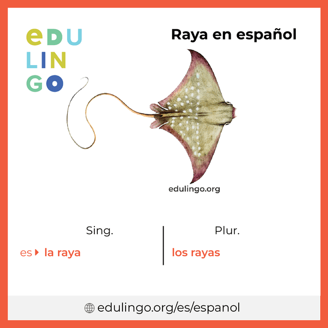 Imagen de vocabulario Raya en español con singular y plural para descargar e imprimir