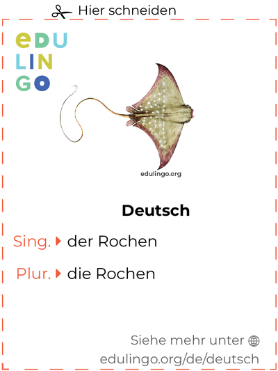 Rochen auf Deutsch Vokabelkartei zum Ausdrucken, Üben und Lernen