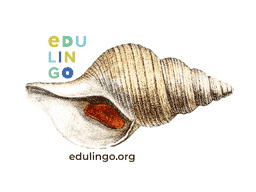 Thumbnail: Sea Snail in English