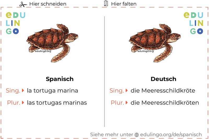 Meeresschildkröte auf Spanisch Vokabelkartei zum Ausdrucken, Üben und Lernen
