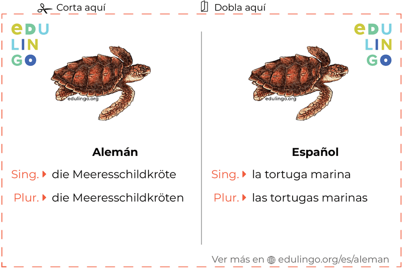 Ficha de Vocabulario Tortuga marina en alemán para imprimir, practicar y aprender
