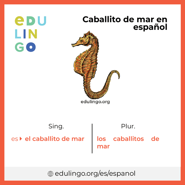 Imagen de vocabulario Caballito de mar en español con singular y plural para descargar e imprimir