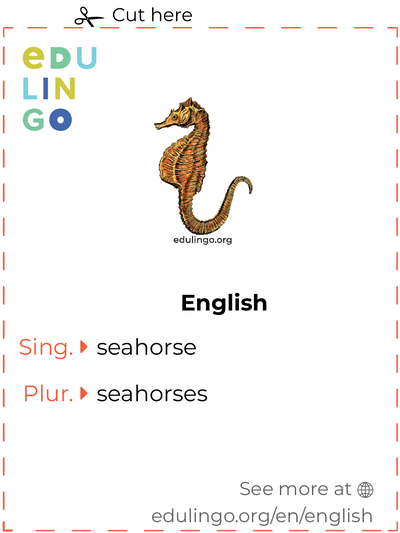 Seahorse in English vocabulary flashcard for printing, practicing and learning