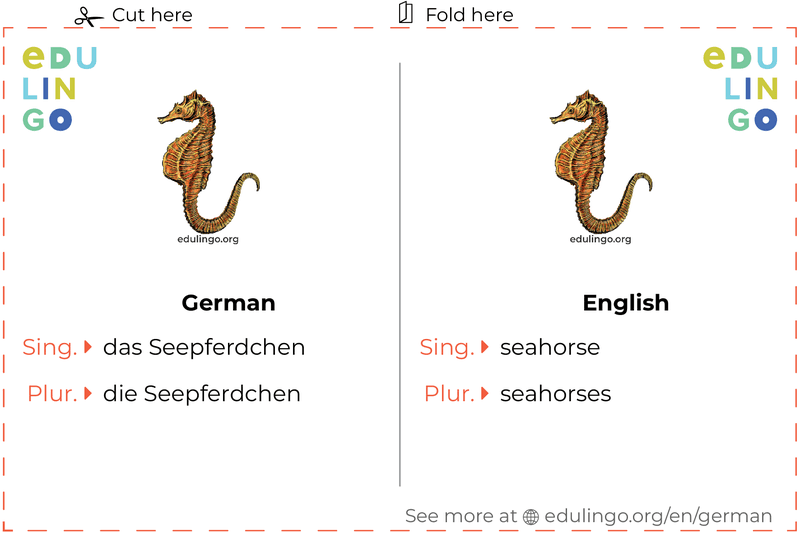 Seahorse in German vocabulary flashcard for printing, practicing and learning