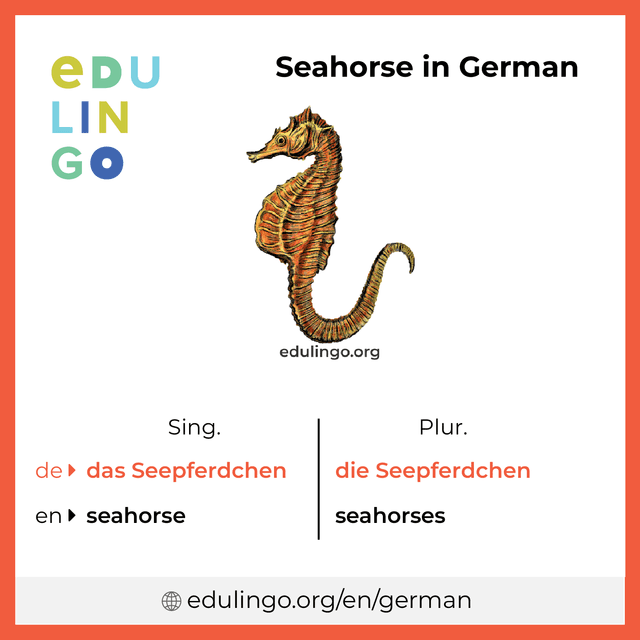 Seahorse in German vocabulary picture with singular and plural for download and printing