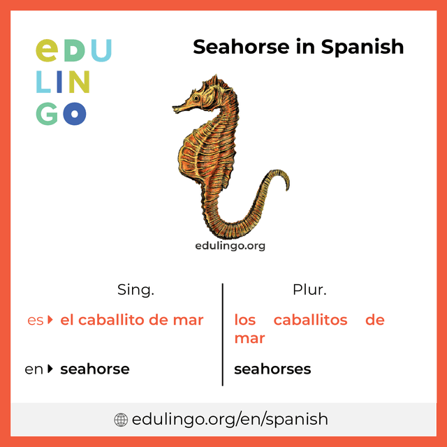 Seahorse in Spanish vocabulary picture with singular and plural for download and printing