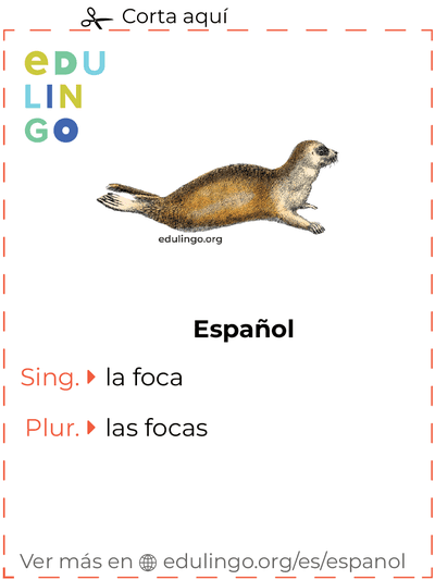 Ficha de Vocabulario Foca en español para imprimir, practicar y aprender