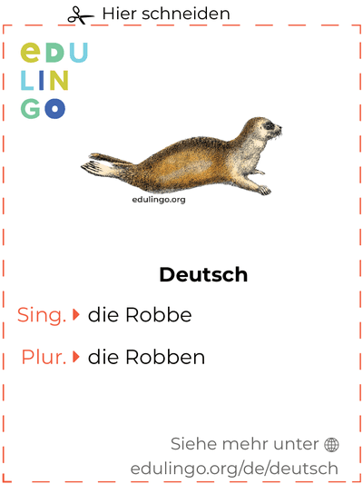 Robbe auf Deutsch Vokabelkartei zum Ausdrucken, Üben und Lernen