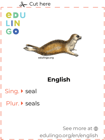 Seal in English vocabulary flashcard for printing, practicing and learning