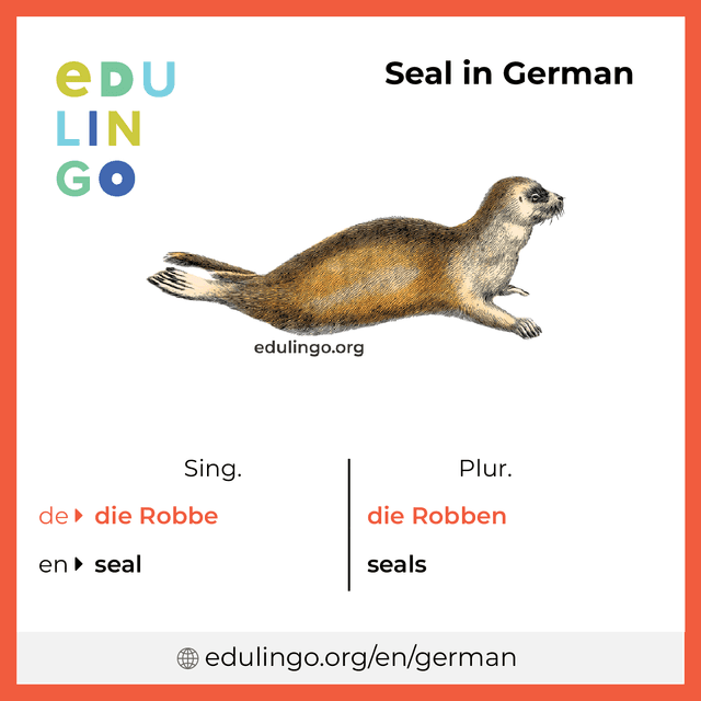 Seal in German vocabulary picture with singular and plural for download and printing