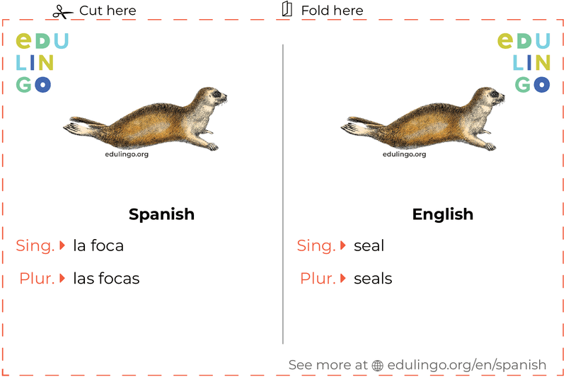 Seal in Spanish vocabulary flashcard for printing, practicing and learning