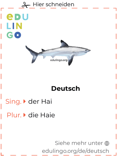 Hai auf Deutsch Vokabelkartei zum Ausdrucken, Üben und Lernen