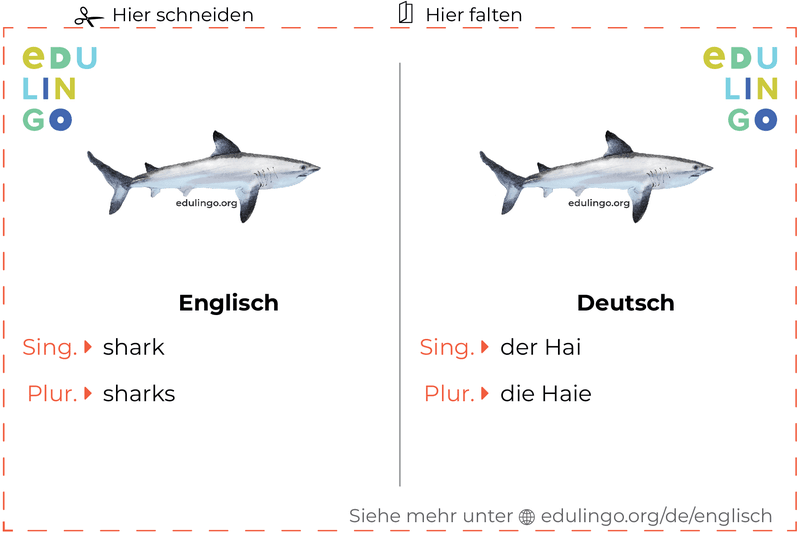 Hai auf Englisch Vokabelkartei zum Ausdrucken, Üben und Lernen