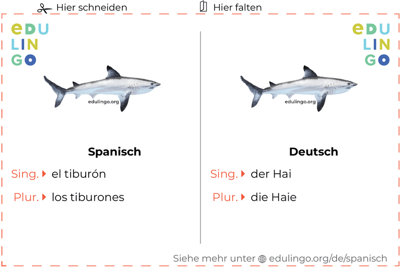 Hai auf Spanisch Vokabelkartei zum Ausdrucken, Üben und Lernen
