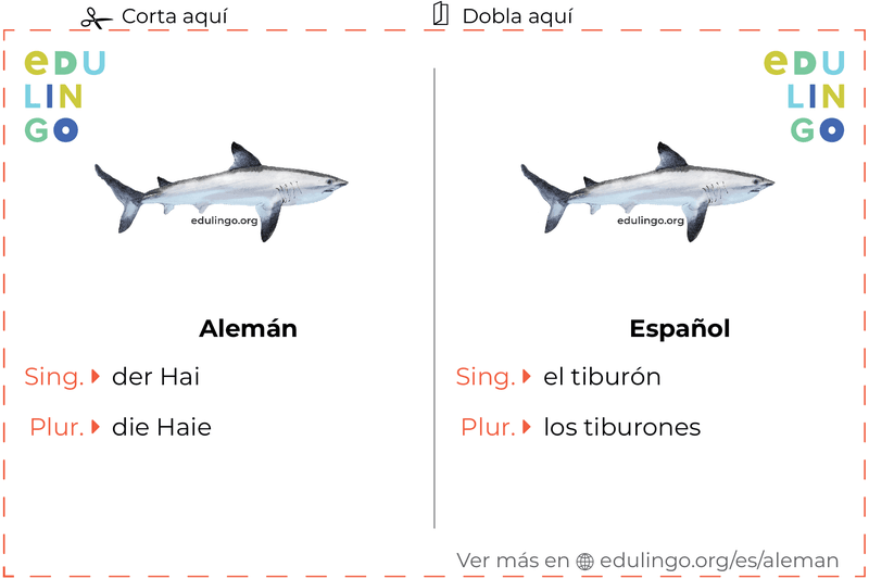 Ficha de Vocabulario Tiburón en alemán para imprimir, practicar y aprender