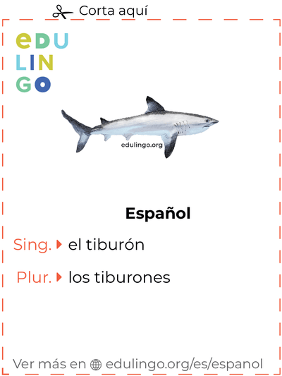 Ficha de Vocabulario Tiburón en español para imprimir, practicar y aprender