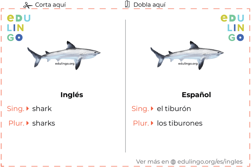 Ficha de Vocabulario Tiburón en inglés para imprimir, practicar y aprender