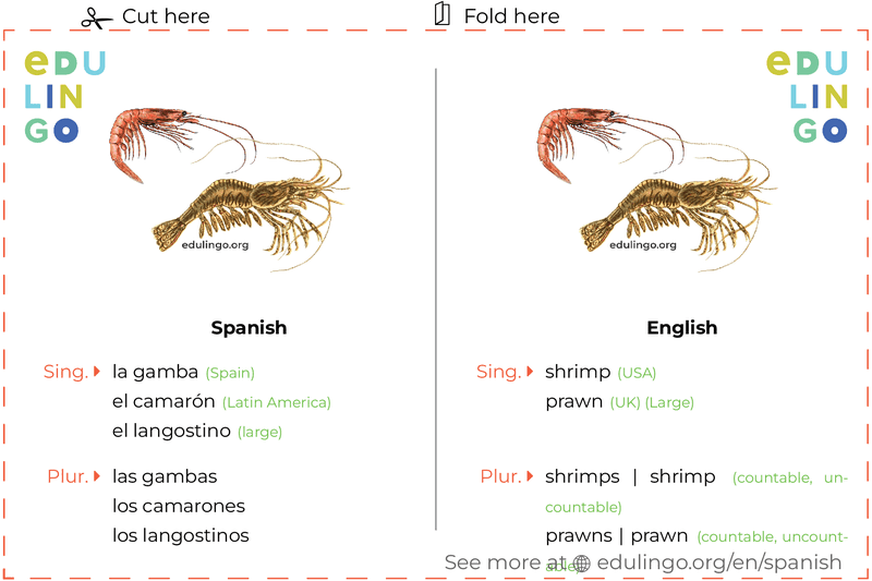 Shrimp in Spanish vocabulary flashcard for printing, practicing and learning