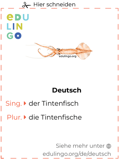 Tintenfisch auf Deutsch Vokabelkartei zum Ausdrucken, Üben und Lernen