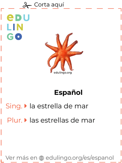 Ficha de Vocabulario Estrella de mar en español para imprimir, practicar y aprender