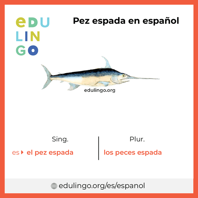 Imagen de vocabulario Pez espada en español con singular y plural para descargar e imprimir