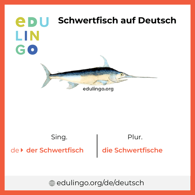 Schwertfisch auf Deutsch Vokabelbild mit Singular und Plural zum Herunterladen und Ausdrucken