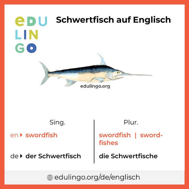 Schwertfisch auf Englisch Vokabelbild mit Singular und Plural zum Herunterladen und Ausdrucken
