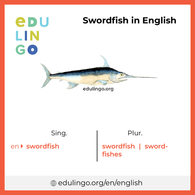 Swordfish in English vocabulary picture with singular and plural for download and printing
