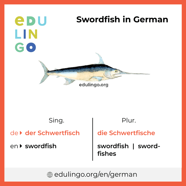 Swordfish in German vocabulary picture with singular and plural for download and printing