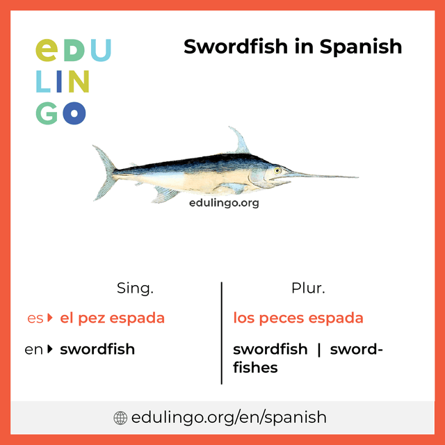 Swordfish in Spanish vocabulary picture with singular and plural for download and printing