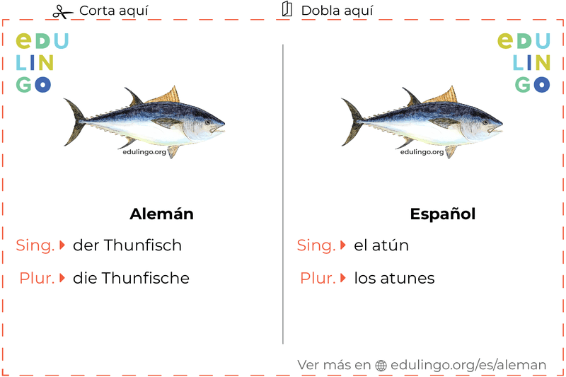 Ficha de Vocabulario Atún en alemán para imprimir, practicar y aprender