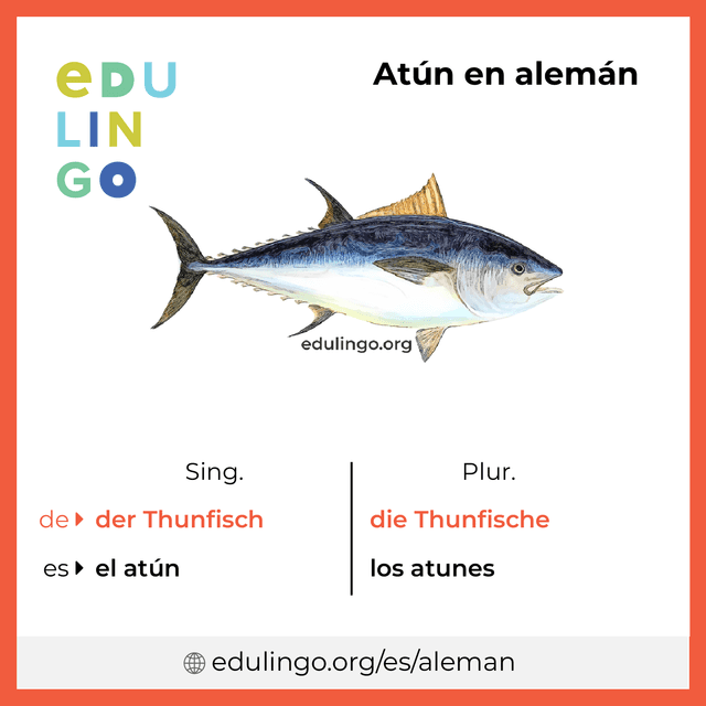 Imagen de vocabulario Atún en alemán con singular y plural para descargar e imprimir